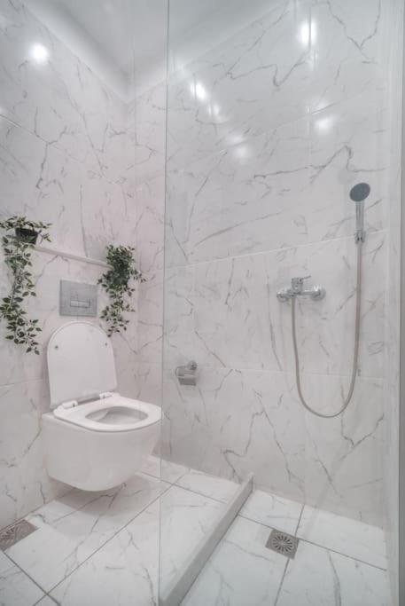 Apartament Εστία 10 Λεπτά Από Την Ακρόπολη Ateny Zewnętrze zdjęcie